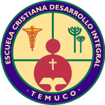 CORP_EDUCACIONAL_DESARROLLO_INTEGRAL-removebg-preview